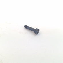 Enfield No4 Magazine Release Screw