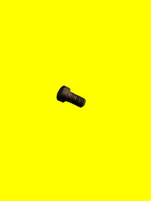 11: Enfield No4 Safety Screw